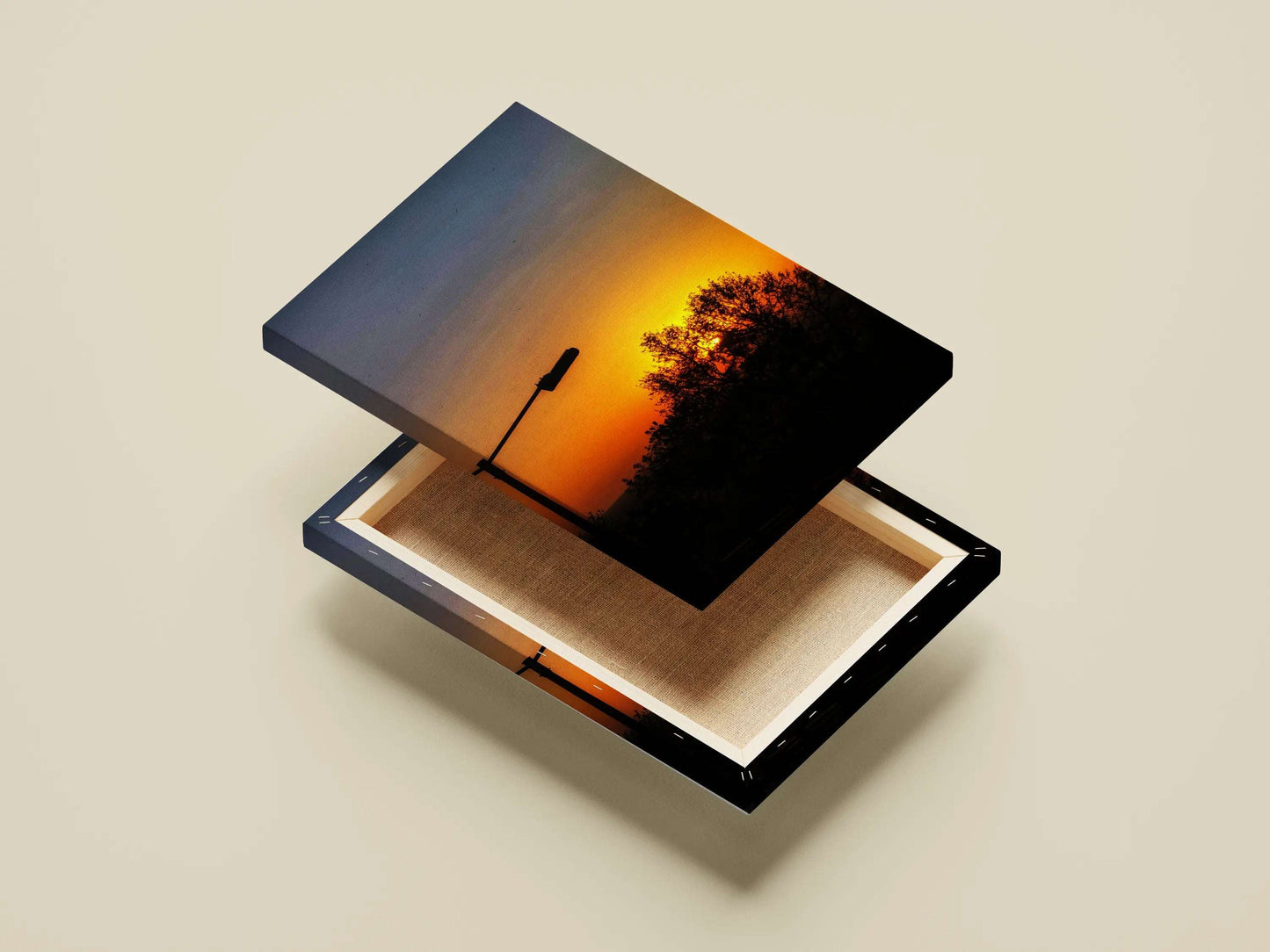 Golden Hour: A Tranquil Evening Scene