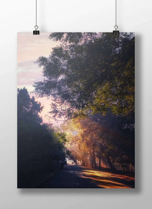 Nature's Path: A Peaceful Stroll Bathed in Light