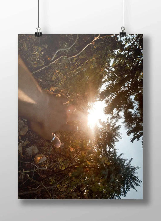 Capturing the Sun: A Unique Perspective in Nature