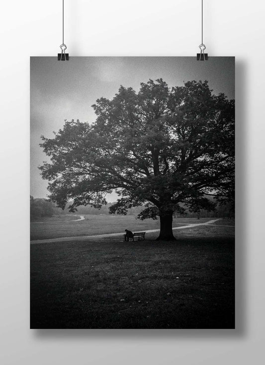 Solitary Figure (Silhouette) Generic Realistic Photography Noir (Modern Digital) Matte BoizzBoard rigid print — Art wall art