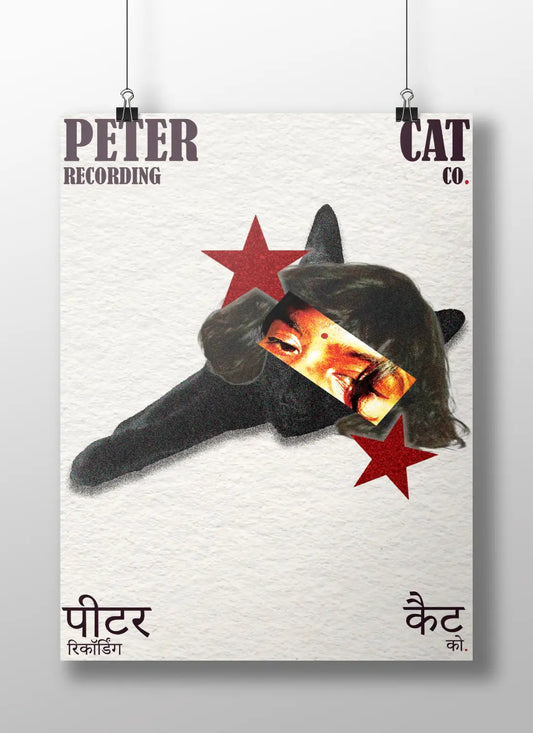 Peter Cat Co. Poster – Vintage Indie Music Art Print | Retro Collage Wall Decor