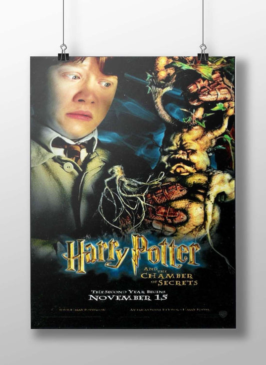 Harry Potter and the Chamber of Secrets Main Subject: Harry Potter and the Chamber of Secrets Matte BoizzBoard rigid print —