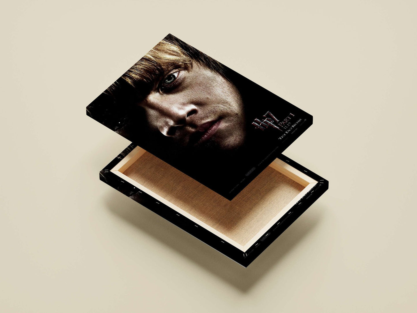 Harry Potter Main Subject: Harry Potter Canvas wall art — Bollywood wall art India | PosterBoizz