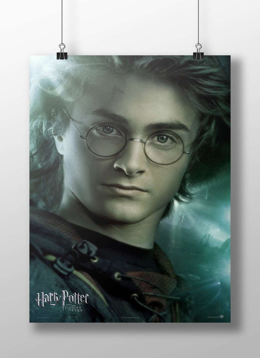 Harry Potter (from the Harry Potter franchise) Main Subject: Harry Potter (from the Harry Potter franchise) Matte BoizzBoard