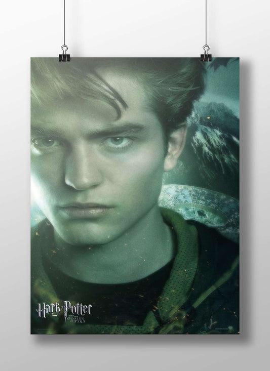 Harry Potter Main Subject: Harry Potter Matte BoizzBoard rigid print — Superhero wall art India | PosterBoizz