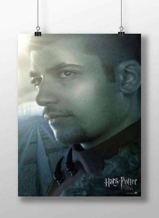 Draco Malfoy from the Harry Potter franchise Main Subject: Draco Malfoy from the Harry Potter franchise Matte BoizzBoard