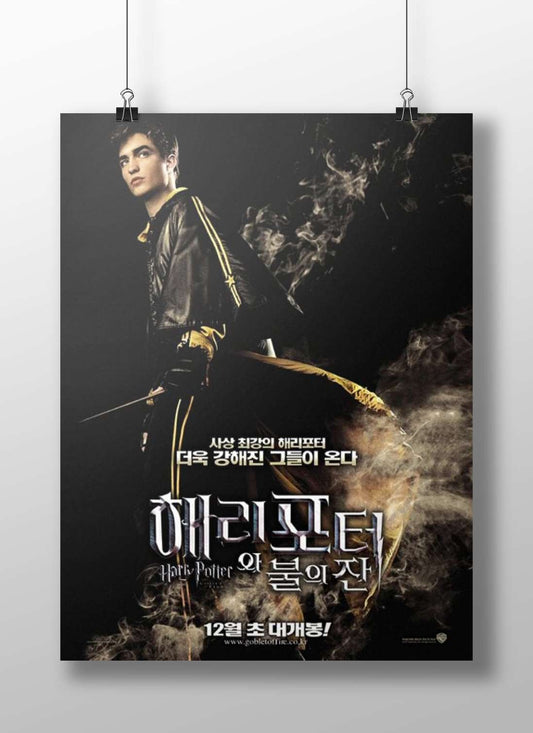 Harry Potter franchise (specifically "Harry Potter and the Deathly Hallows") Main Subject: Harry Potter franchise