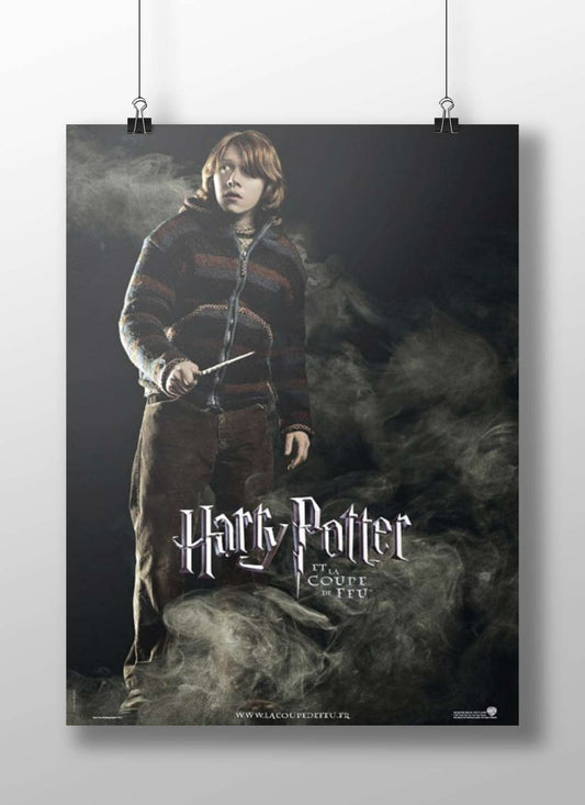 Harry Potter (franchise) Main Subject: Harry Potter (franchise) Matte BoizzBoard rigid print — Hollywood wall art India |