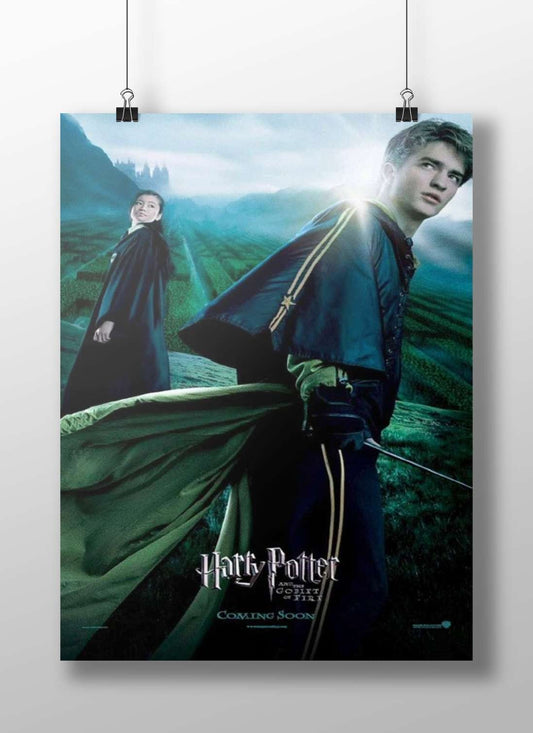 Harry Potter and Hermione Granger (characters from the Harry Potter franchise) Main Subject: Harry Potter and Hermione