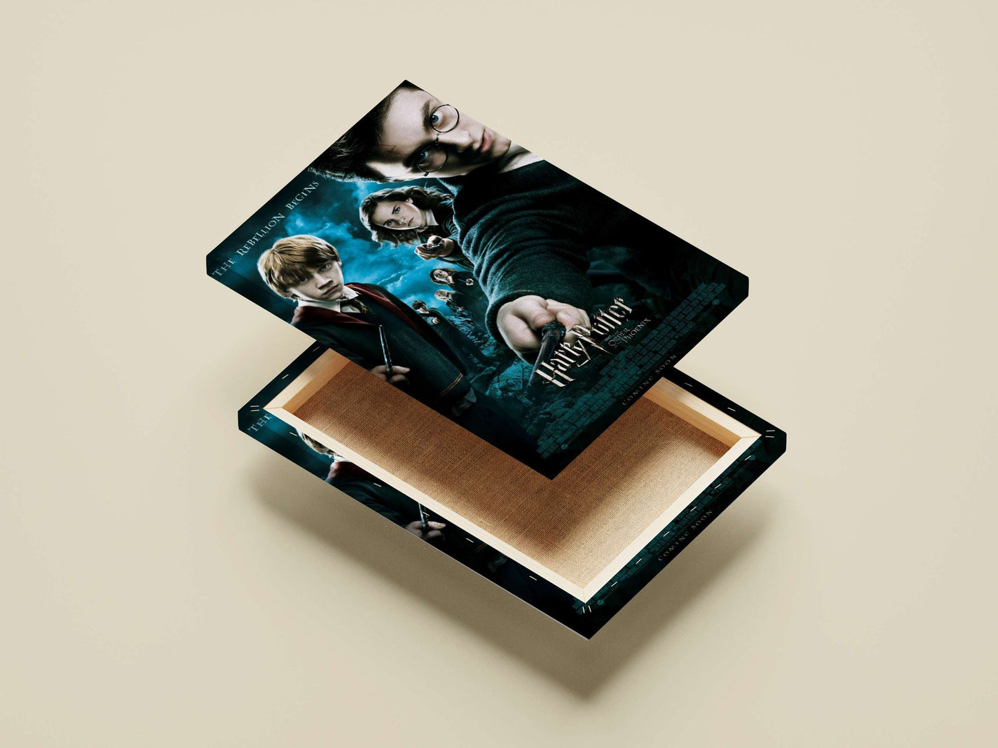 Harry Potter and the Order of the Phoenix Main Subject: Harry Potter and the Order of the Phoenix Canvas wall art — Art wall
