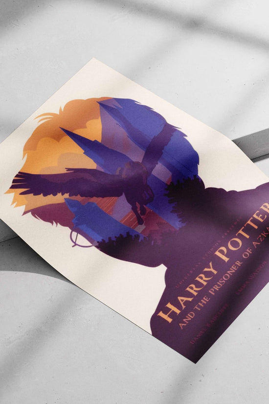 Harry Potter franchise Harry Potter - Wizarding World Poster