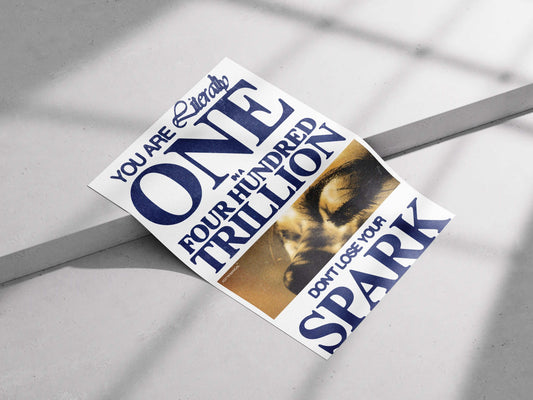 "You Are One In Four Hundred Trillion" Motivational Poster - Inspirational Spark Quote Art Print