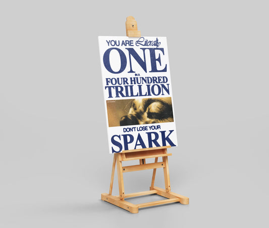 "You Are One In Four Hundred Trillion" Motivational Poster - Inspirational Spark Quote Art Print