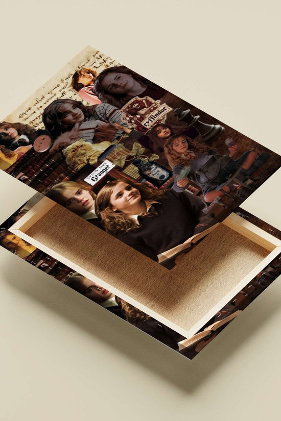 Harry Potter franchise (specifically Hermione Granger and Gryffindor elements) Main Subject: Harry Potter franchise