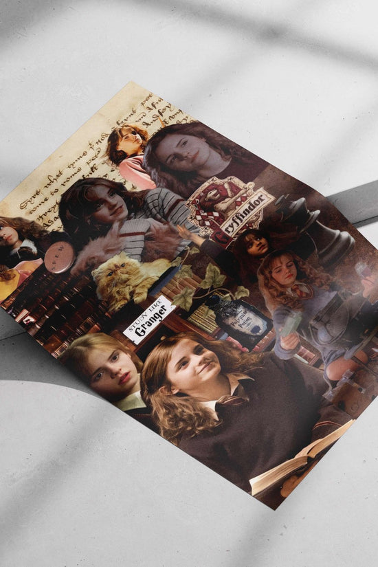 Harry Potter franchise (specifically Hermione Granger and Gryffindor elements) Main Subject: Harry Potter franchise