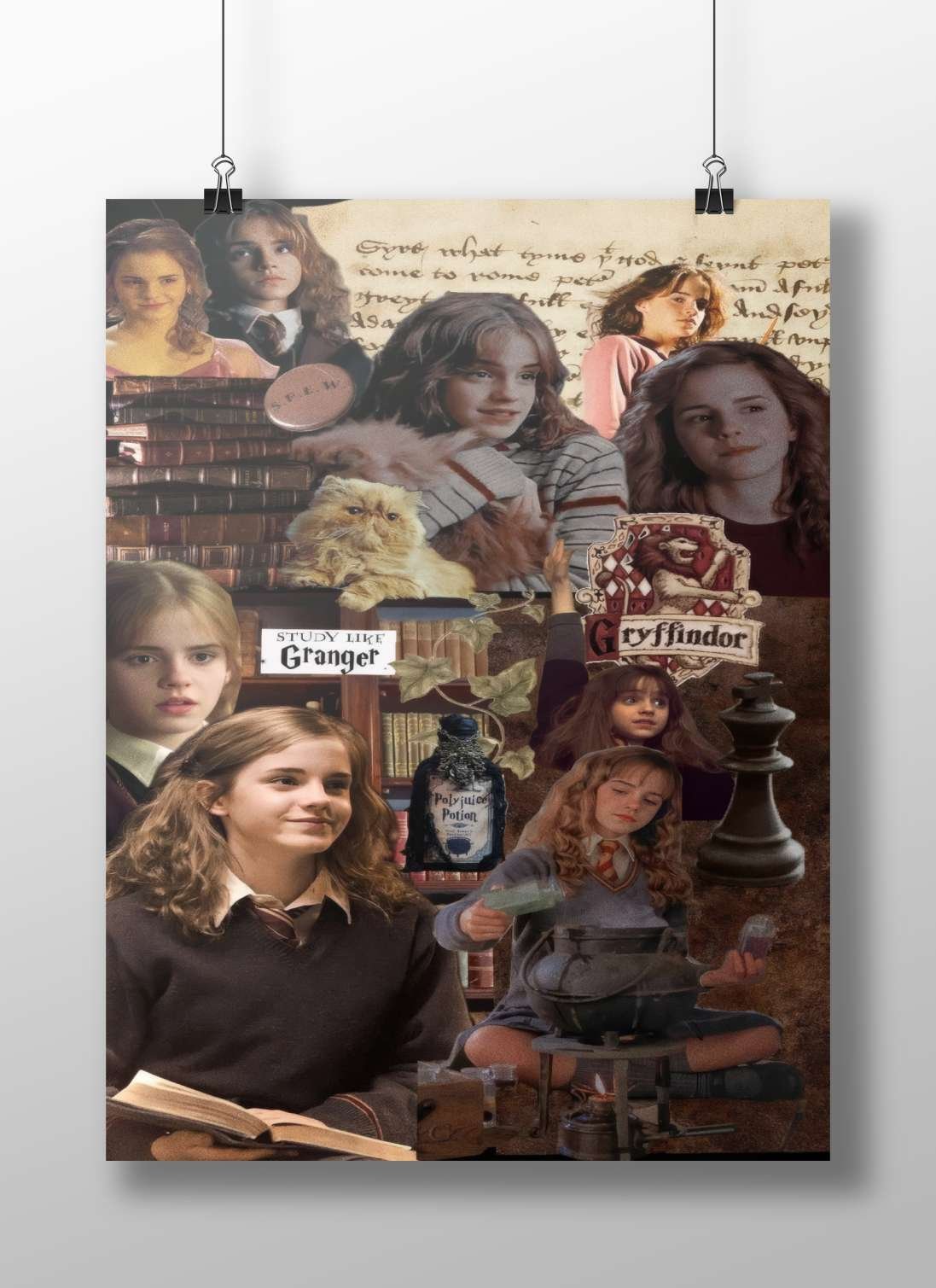 Hermione Granger from the Harry Potter franchise Main Subject: Hermione Granger from the Harry Potter franchise Matte