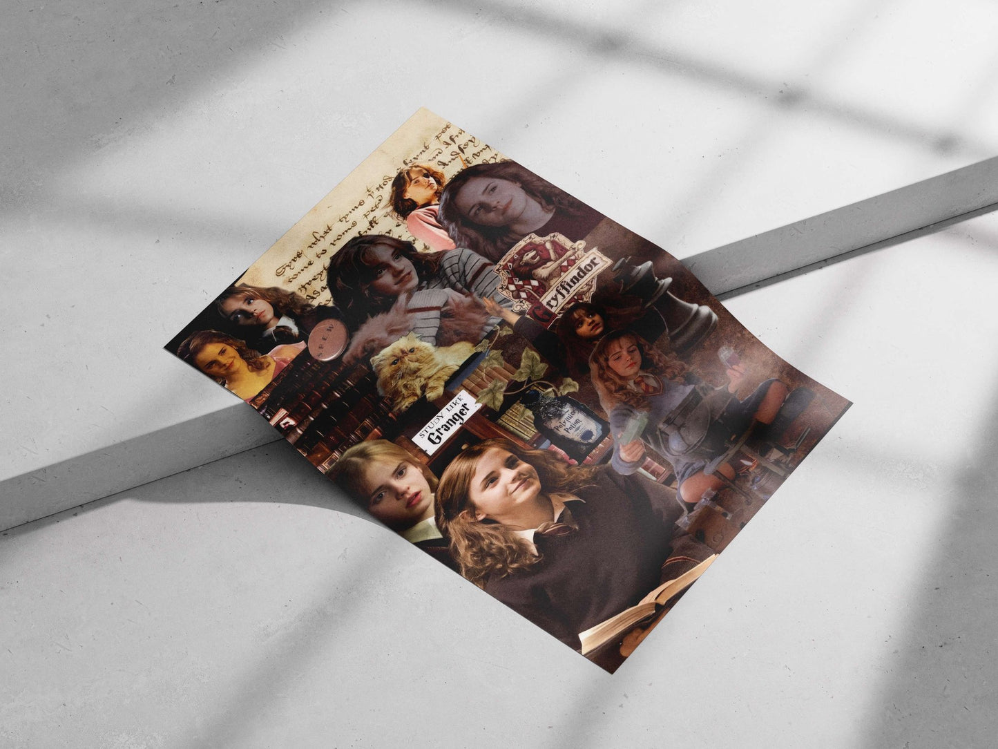 Hermione Granger from the Harry Potter franchise Main Subject: Hermione Granger from the Harry Potter franchise Matte poster