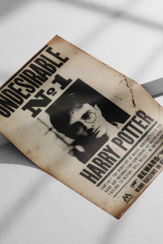 Harry Potter (from the Harry Potter franchise) Harry Potter - Magical Moments Poster