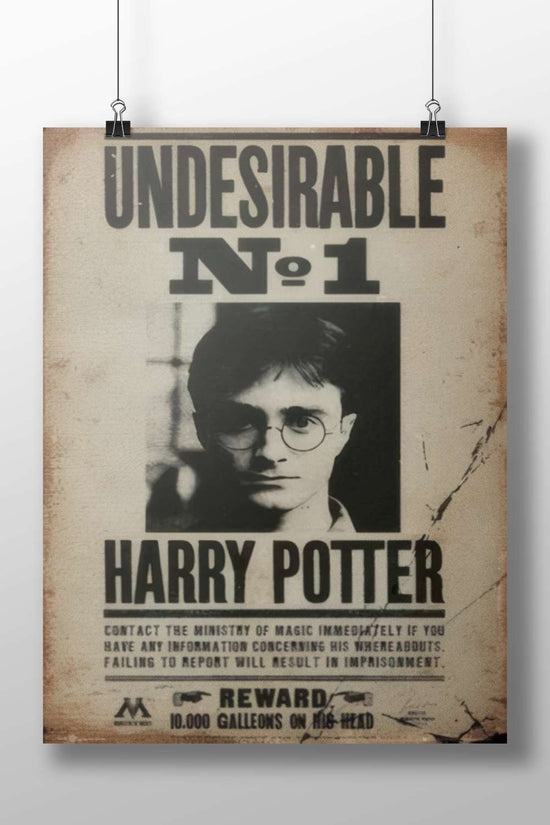 Harry Potter (from the Harry Potter franchise) Harry Potter - Magical Moments Poster