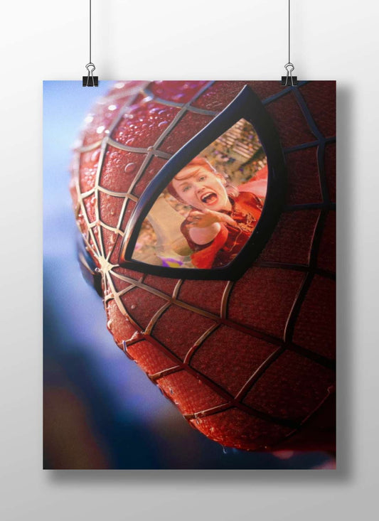 Spider-Man (Marvel Comics character) Spider-Man - Web-Slinger Poster