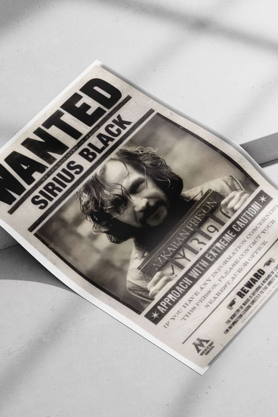 Sirius Black from the Harry Potter franchise. Sirius Black - Ancestral Wolf Patronus Poster