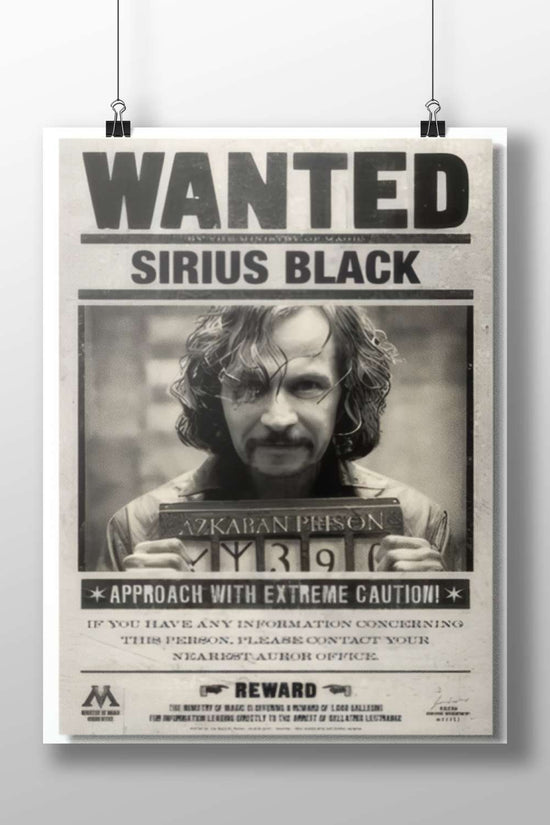 Sirius Black from the Harry Potter franchise. Sirius Black - Ancestral Wolf Patronus Poster