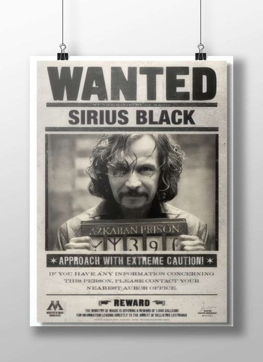 Sirius Black from the Harry Potter franchise. Sirius Black - Ancestral Wolf Patronus Poster