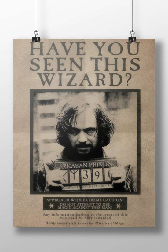 Wizard from Harry Potter franchise Albus Dumbledore - Wise And Kind Poster