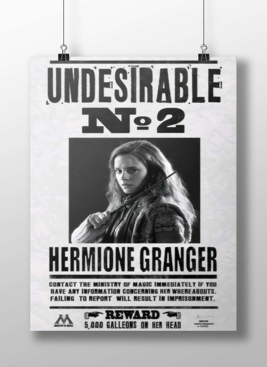 Hermione Granger from the Harry Potter franchise. Hermione Granger - Wise Muggle Born Poster