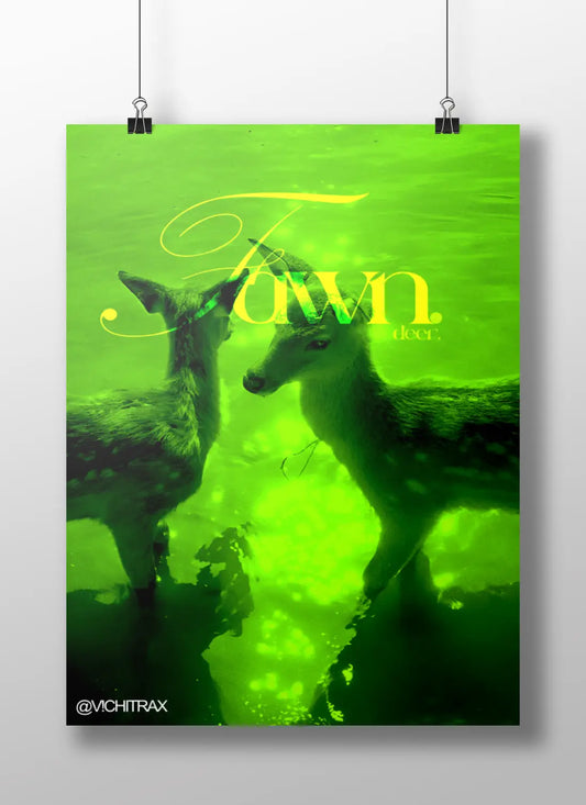 Fawn. (deer)