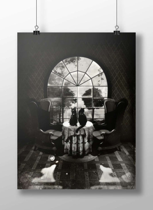 Two black cats Main Subject: Two black cats Matte BoizzBoard rigid print — Art wall art India | PosterBoizz