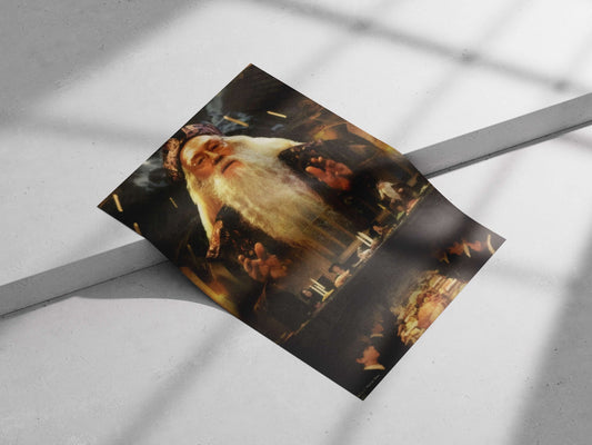 Albus Dumbledore (Harry Potter franchise) Main Subject: Albus Dumbledore (Harry Potter franchise) Matte poster print —