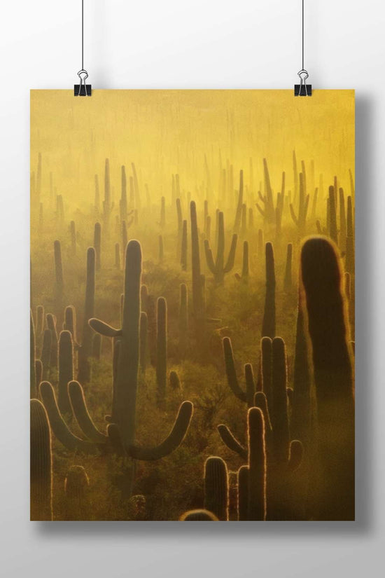 Saguaro cacti Main Subject: Saguaro cacti Matte BoizzBoard rigid print — Art wall art India | PosterBoizz