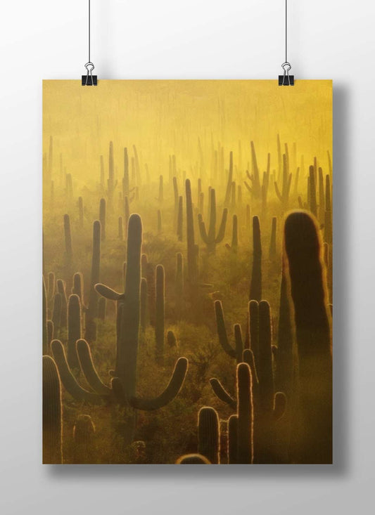 Saguaro cacti Main Subject: Saguaro cacti Matte BoizzBoard rigid print — Art wall art India | PosterBoizz