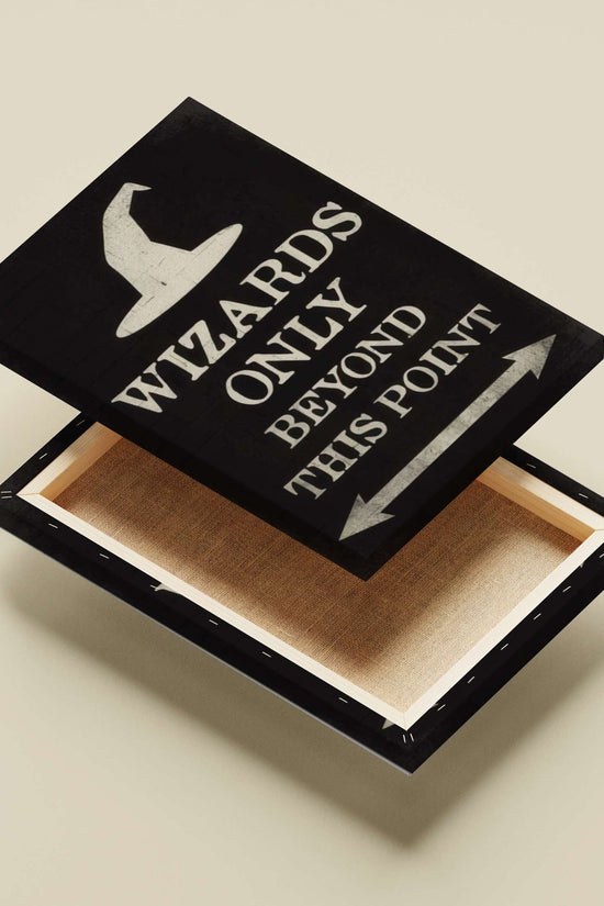Harry Potter - Wizarding World Poster