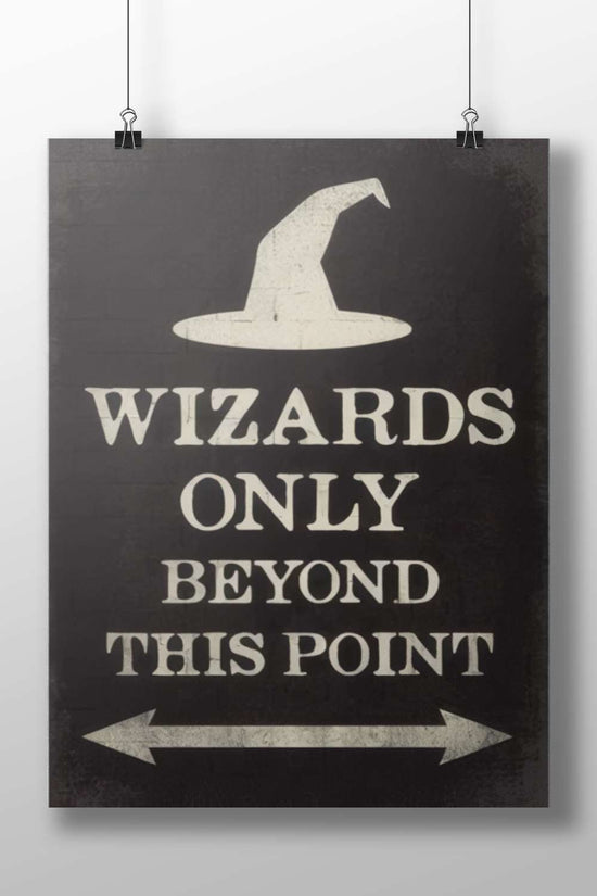 Harry Potter - Wizarding World Poster