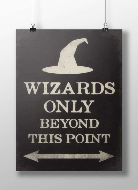 Harry Potter - Wizarding World Poster
