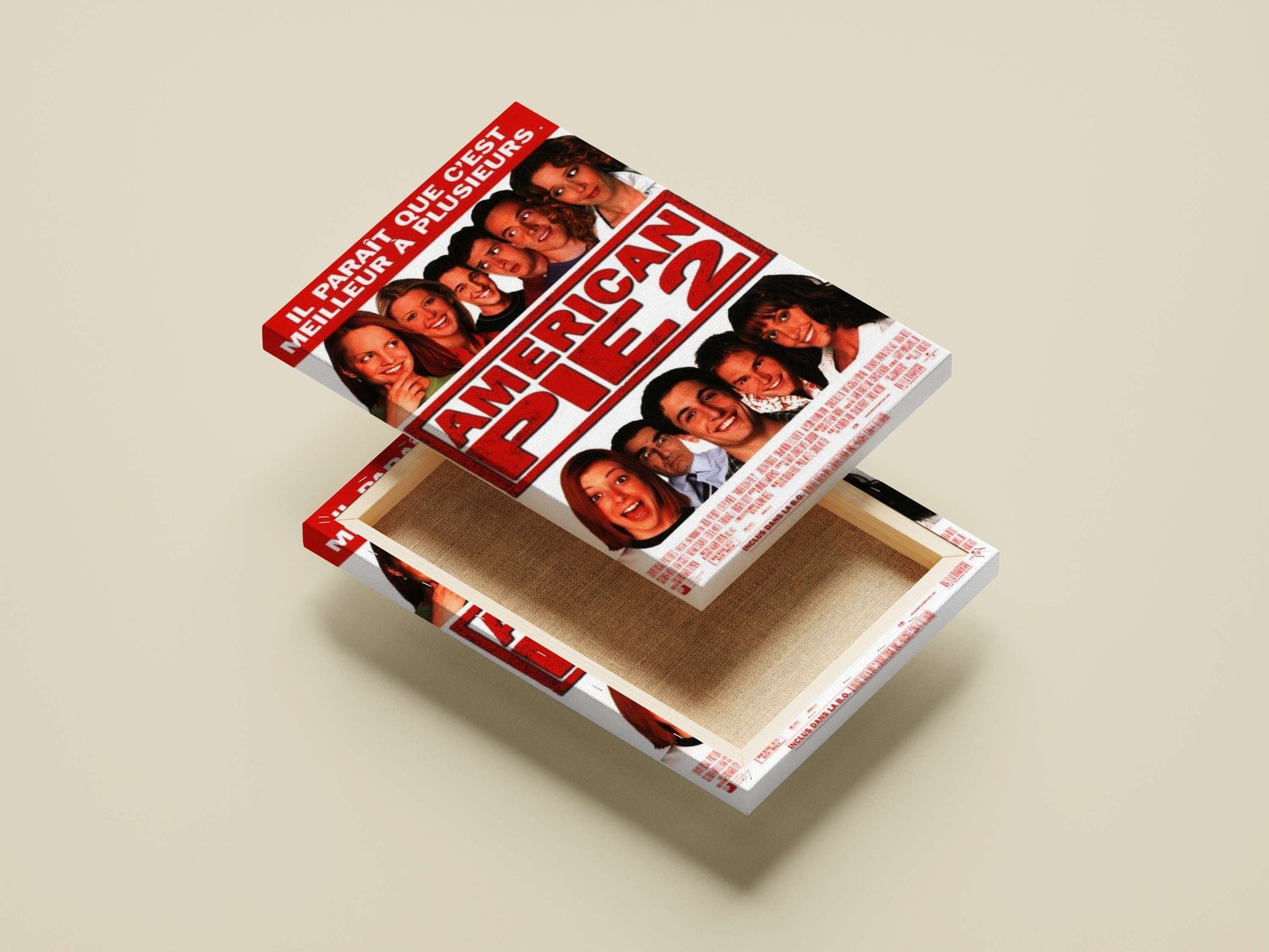 American Pie 2 franchise American Pie 2 - College Comedy Poster