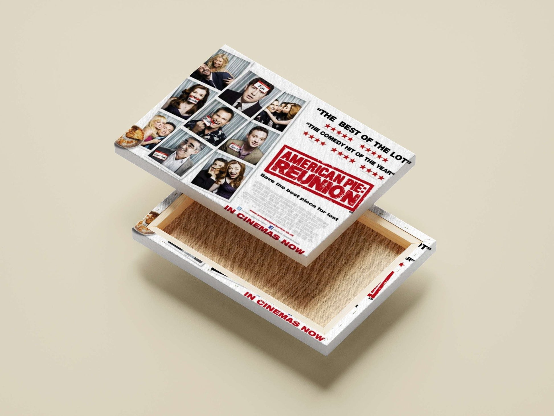 American Pie: Reunion (franchise) American Pie: Reunion - Campus Comedy Poster