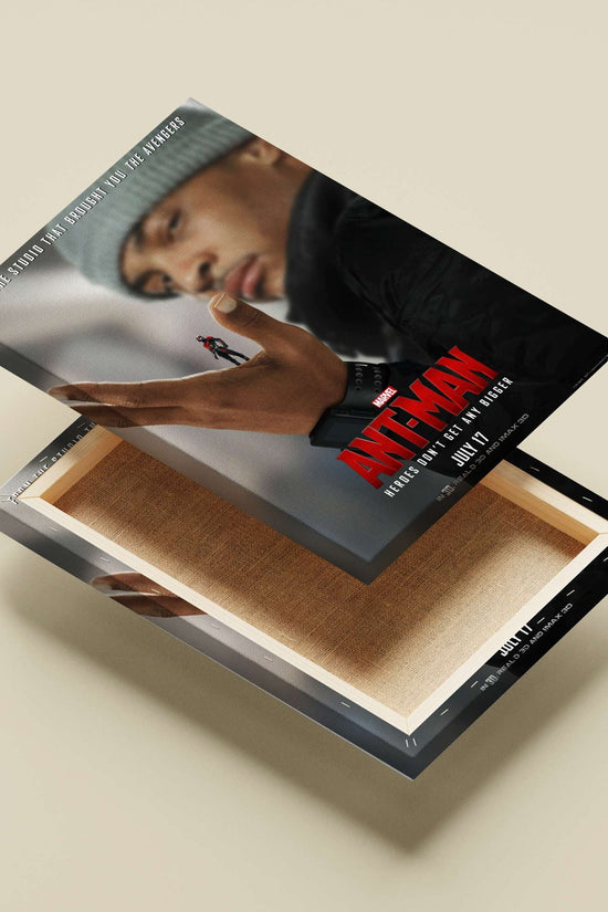 Ant-Man (Marvel Cinematic Universe superhero) Scott Lang Ant-Man - Quantum Leaper Poster