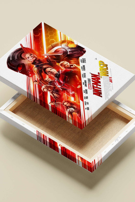 The Marvel Cinematic Universe film "Ant-Man and The Wasp" starring Paul Rudd as Ant-Man and