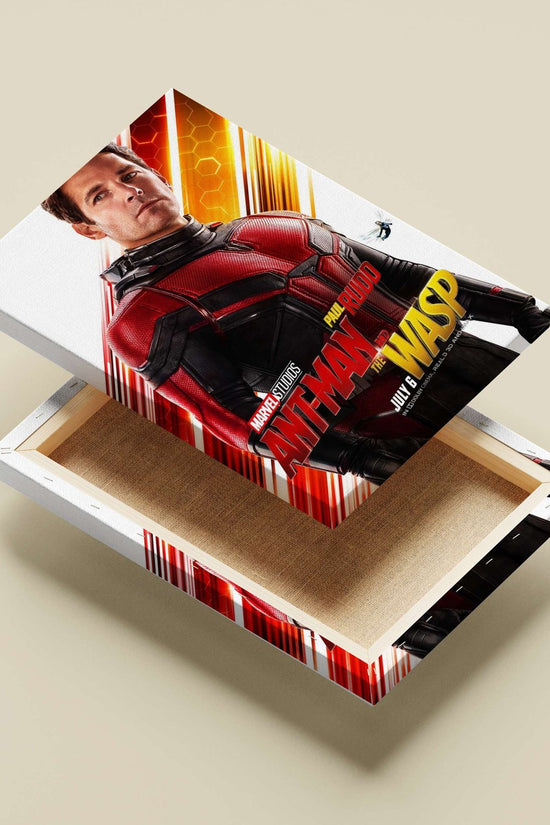 Paul Rudd as Ant-Man in Marvel Studios' Ant-Man and The Wasp. Paul Rudd As Ant-Man