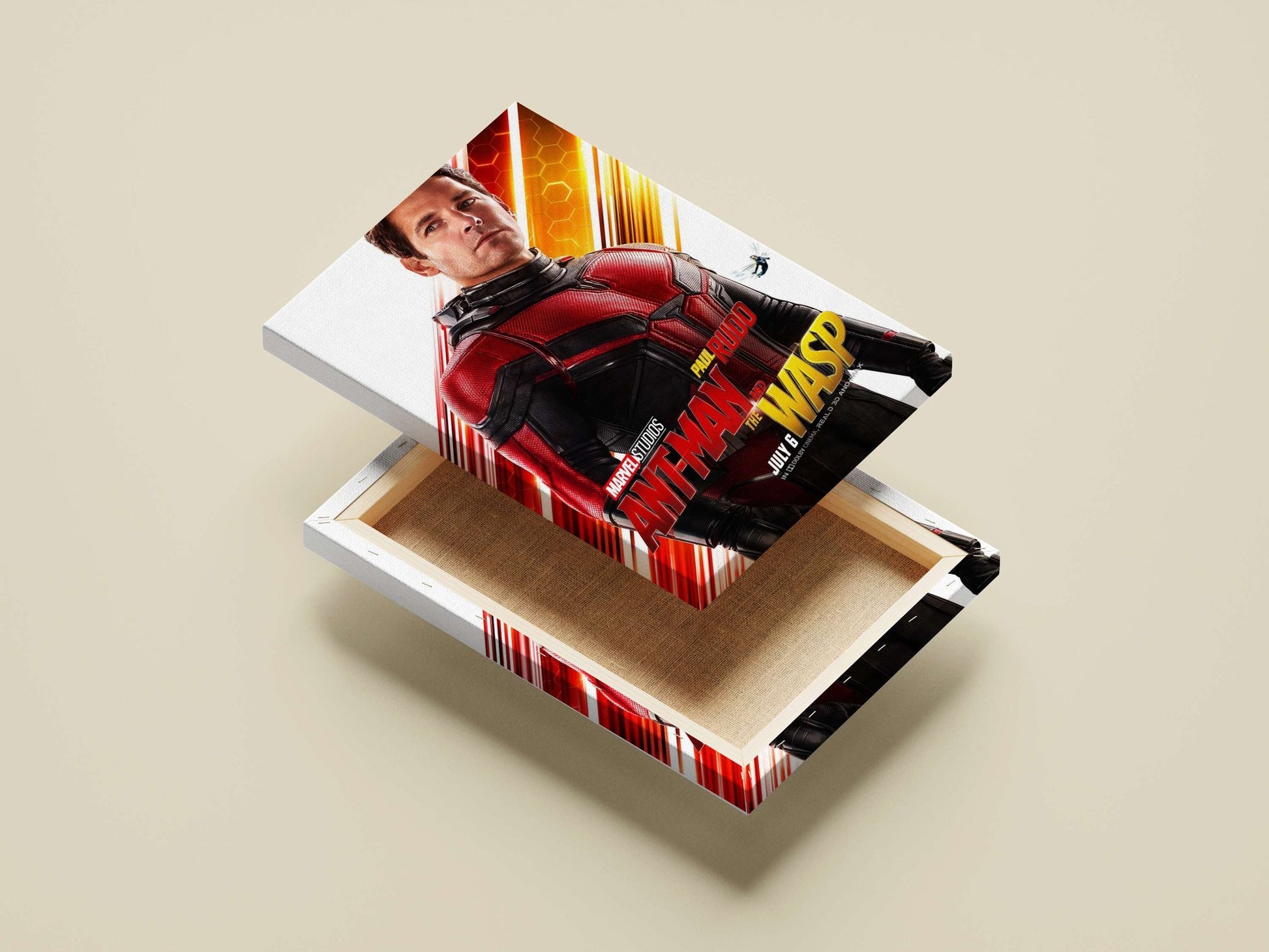 Paul Rudd as Ant-Man in Marvel Studios' Ant-Man and The Wasp. Paul Rudd As Ant-Man