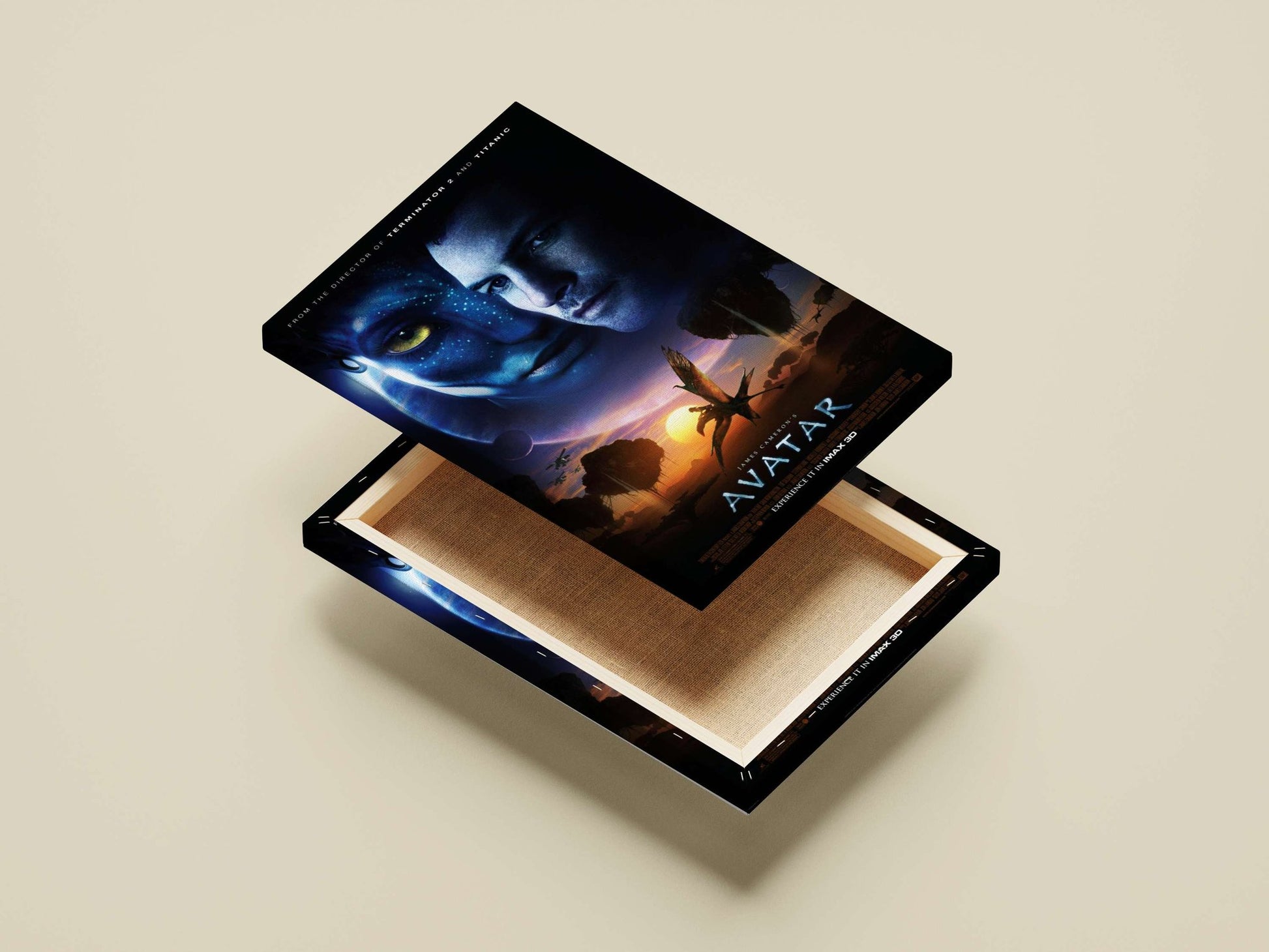Avatar Aang - Air Nomads Hero Poster
