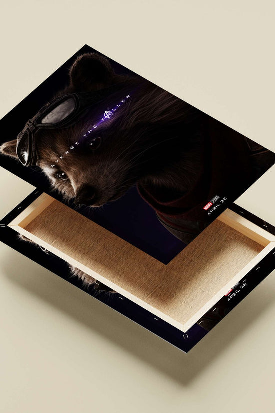 Rocket Raccoon (Marvel's character from Guardians of the Galaxy, part of the Avengers franchise) Rocket