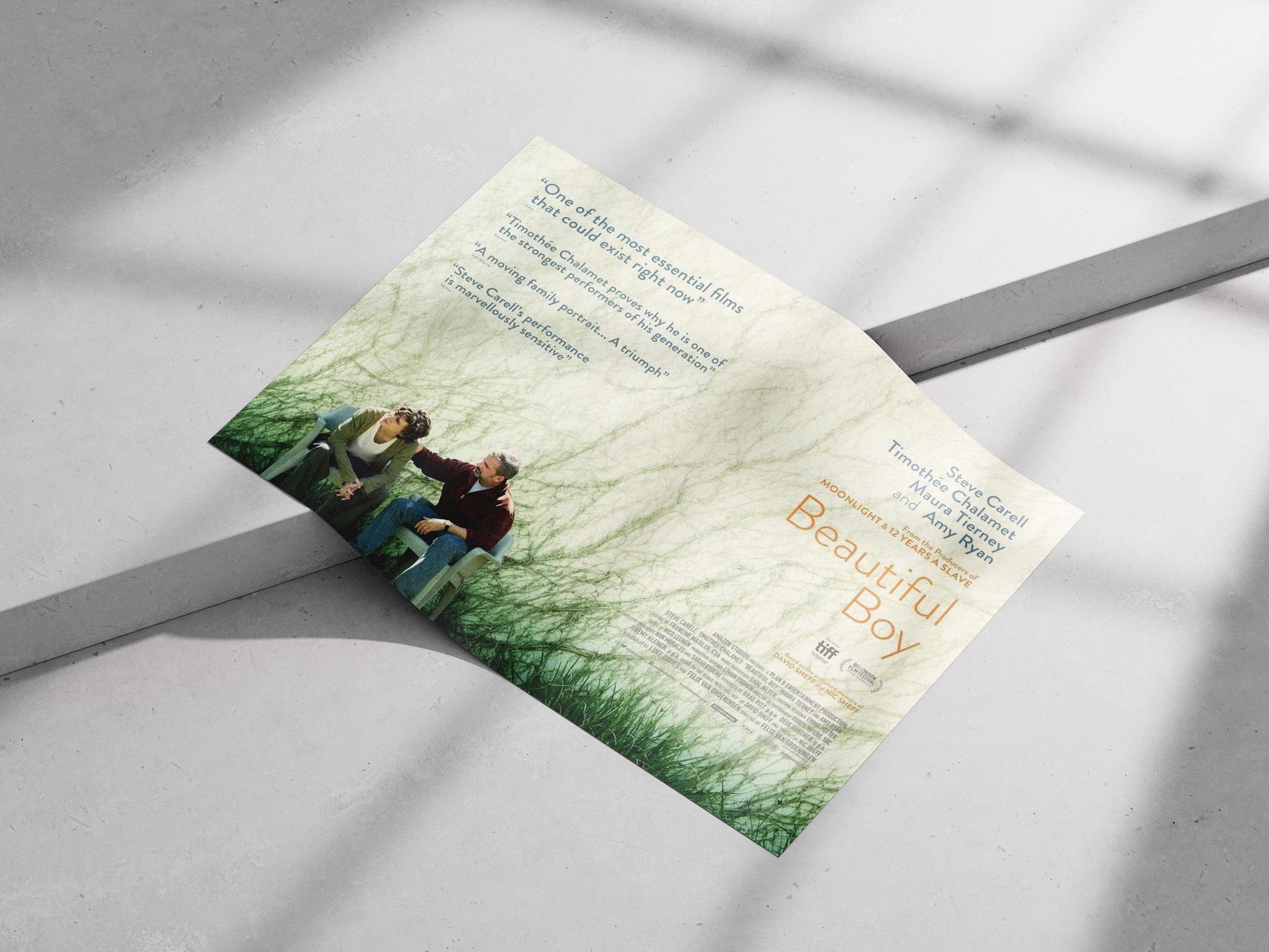 The film "Beautiful Boy" starring Steve Carell and Timothée Chalamet Steve Carell - Boy Photorealism