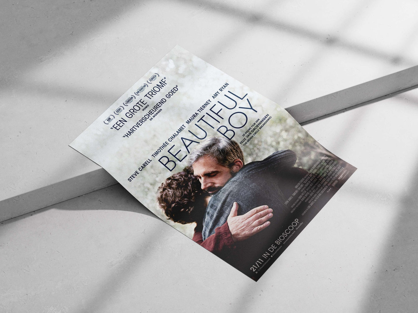 The film "Beautiful Boy" (starring Steve Carell, Timothée Chalamet, Maura Tierney, and Amy Ryan) Boy