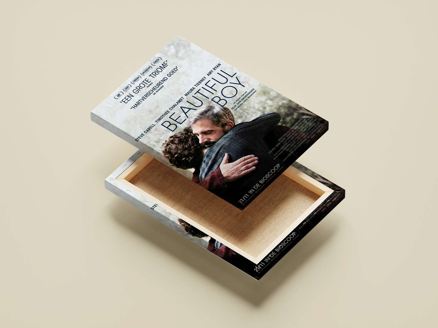 The film "Beautiful Boy" (starring Steve Carell, Timothée Chalamet, Maura Tierney, and Amy Ryan) Boy