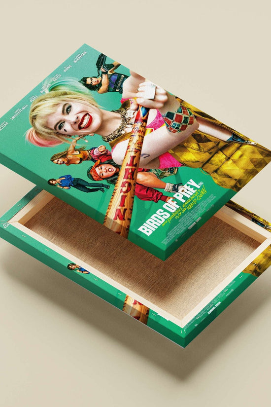 Harley Quinn from the DC franchise "Birds of Prey" (And the Fantabulous Emancipation of One