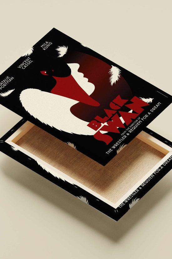 The movie "Black Swan" (starring Natalie Portman, Vincent Cassel, Mila Kunis) Black Swan - Abstract